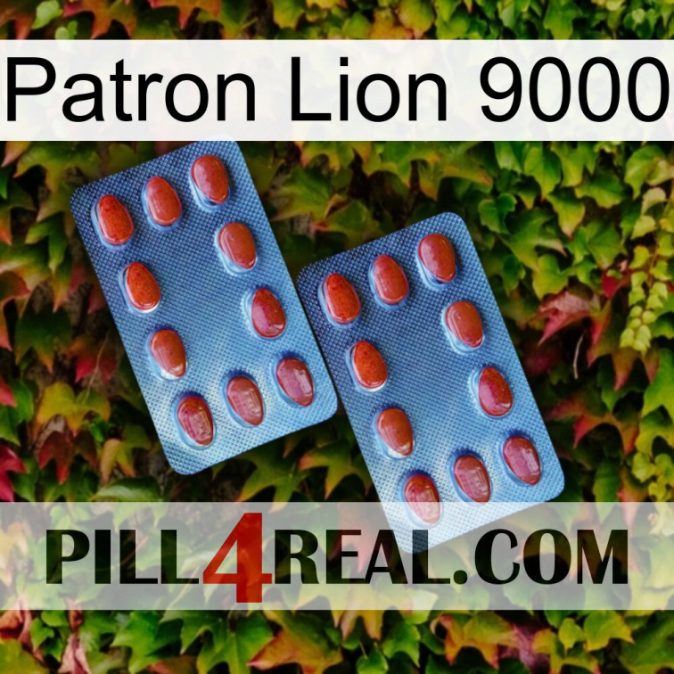 Boss Lion 9000 05